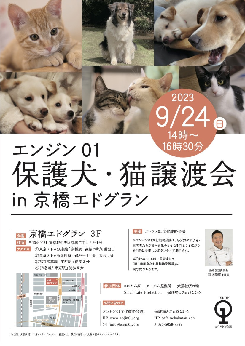 動物愛護委員会、「保護犬・猫譲渡会」開催のお知らせ｜ニュース