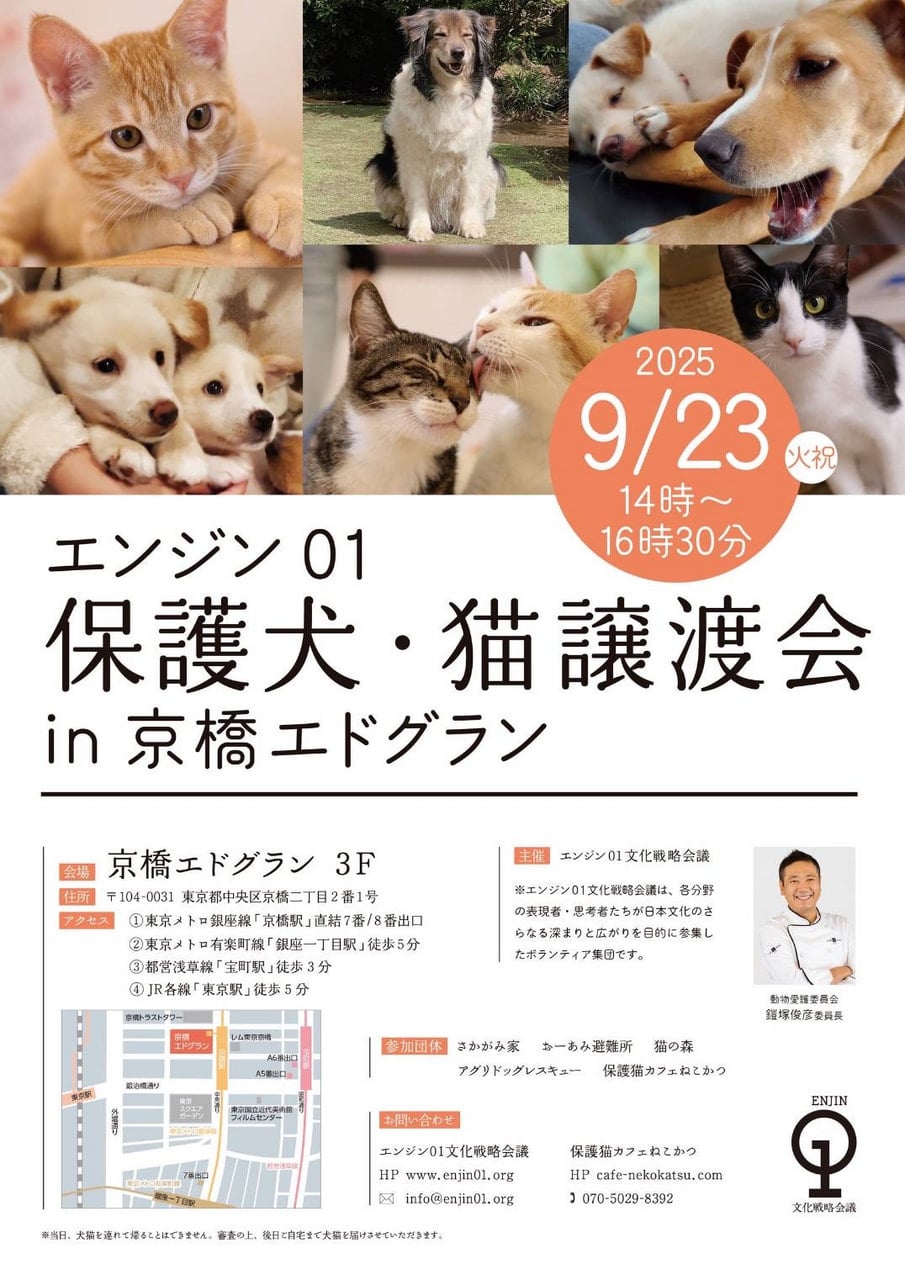 動物愛護委員会 活動レポート｜委員会｜エンジン01文化戦略会議